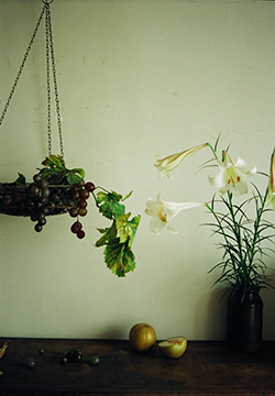 �֖�b���q�g�b�v�y�[�W�ʐ^